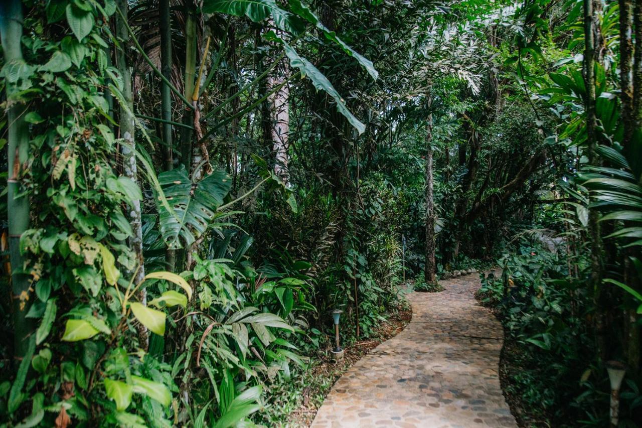 Arahuana Jungle Resort & Spa Tena Buitenkant foto