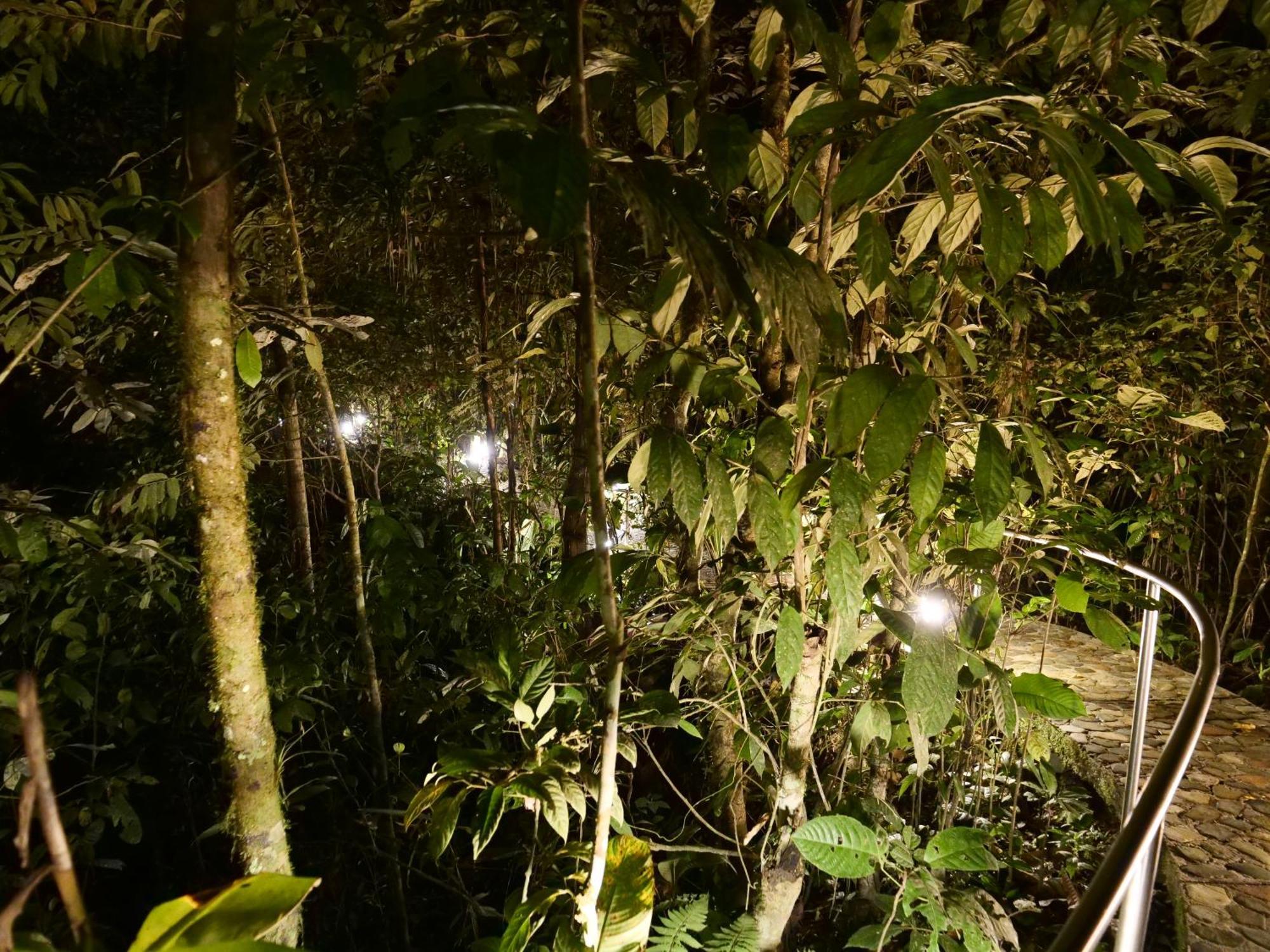 Arahuana Jungle Resort & Spa Tena Buitenkant foto
