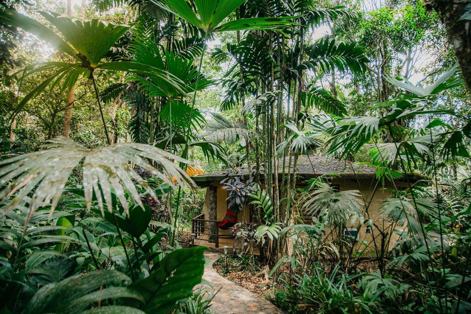 Arahuana Jungle Resort & Spa Tena Buitenkant foto