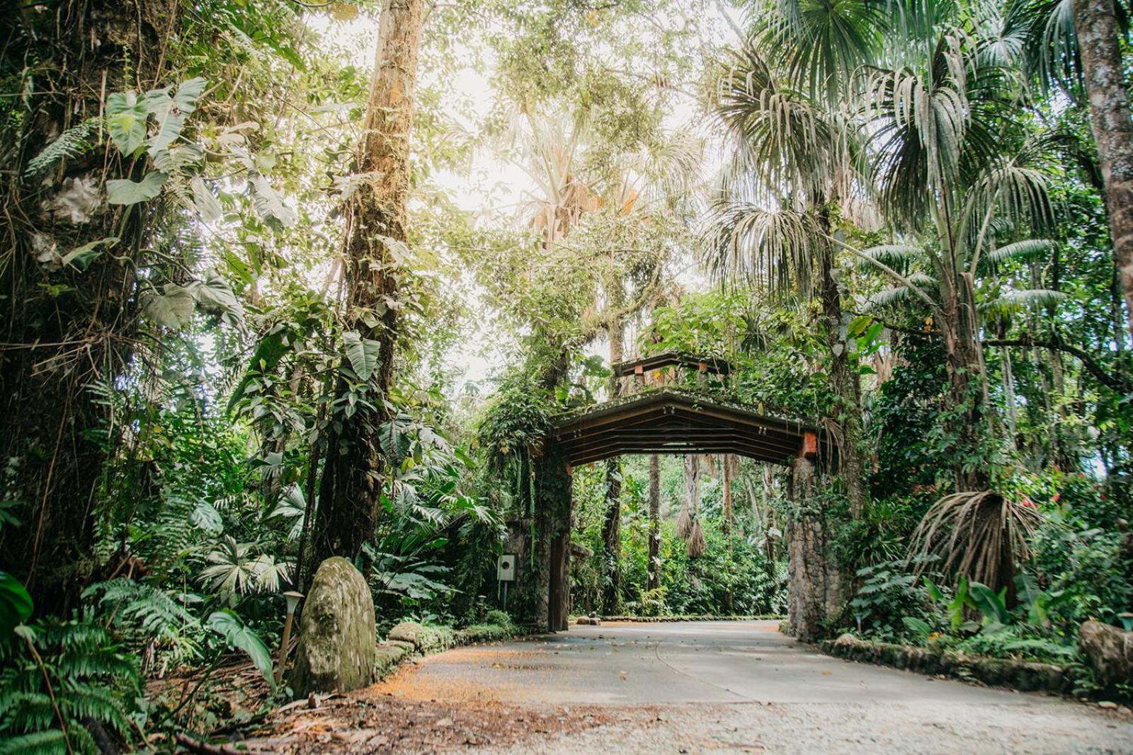 Arahuana Jungle Resort & Spa Tena Buitenkant foto