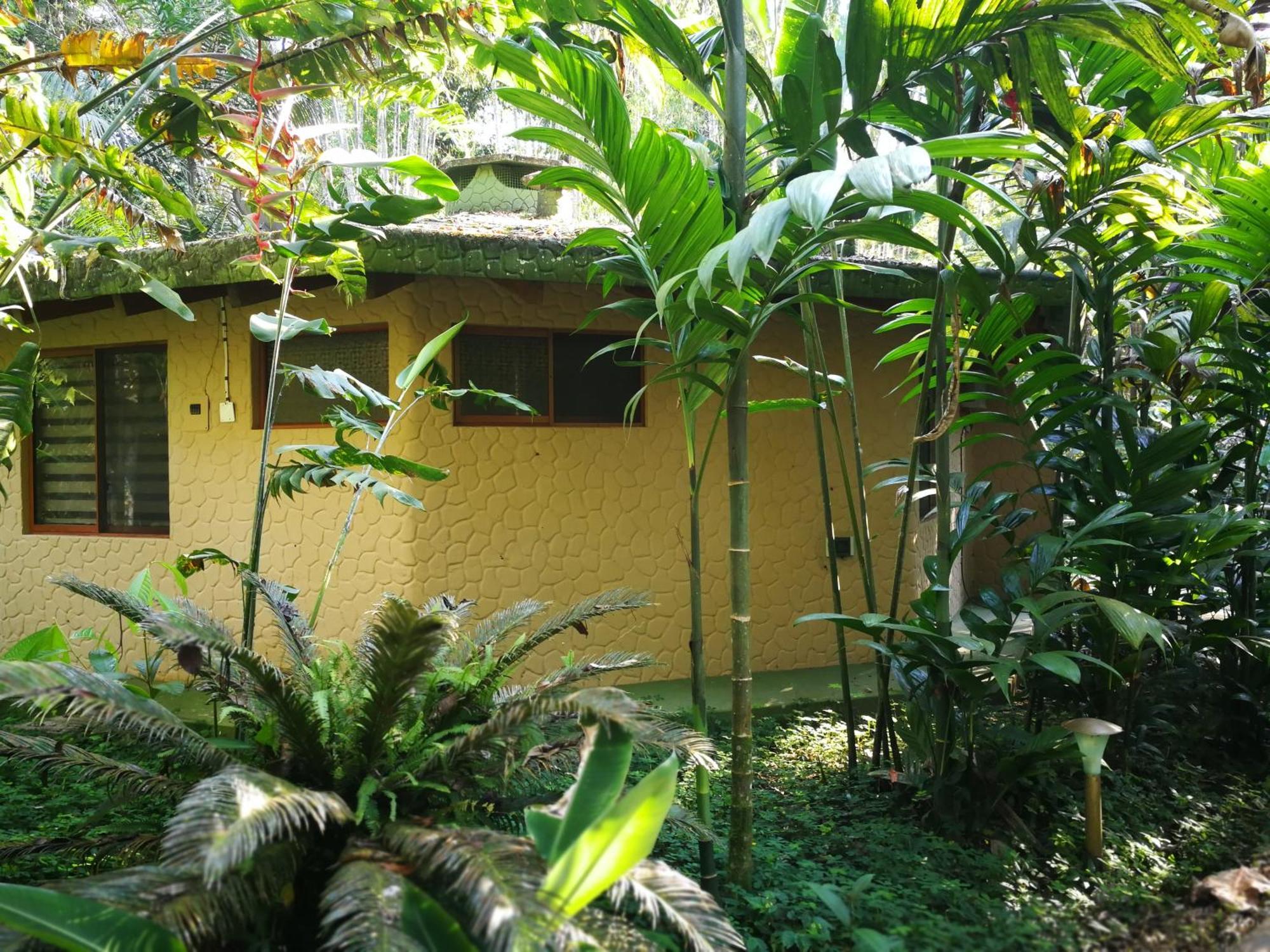 Arahuana Jungle Resort & Spa Tena Buitenkant foto