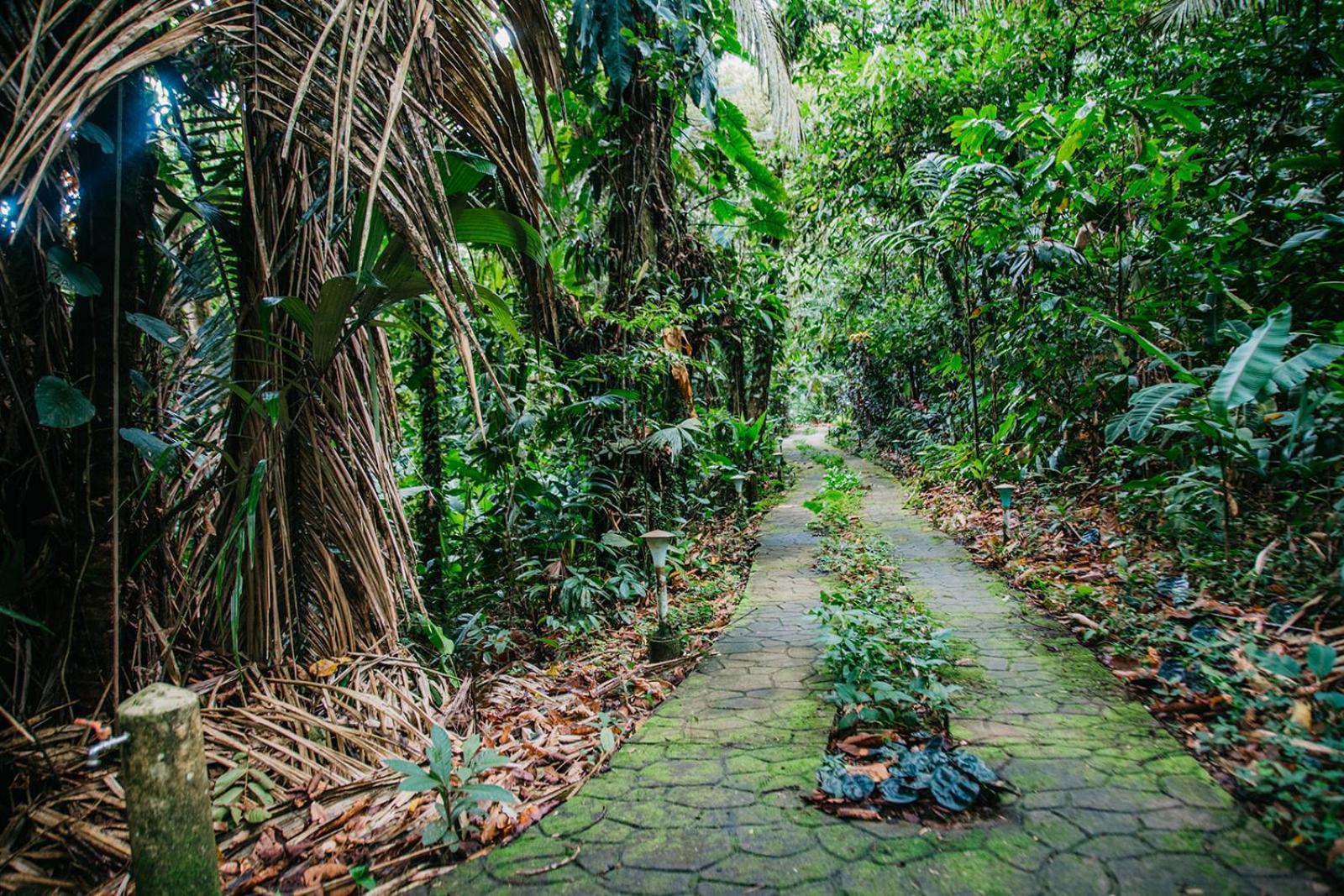 Arahuana Jungle Resort & Spa Tena Buitenkant foto